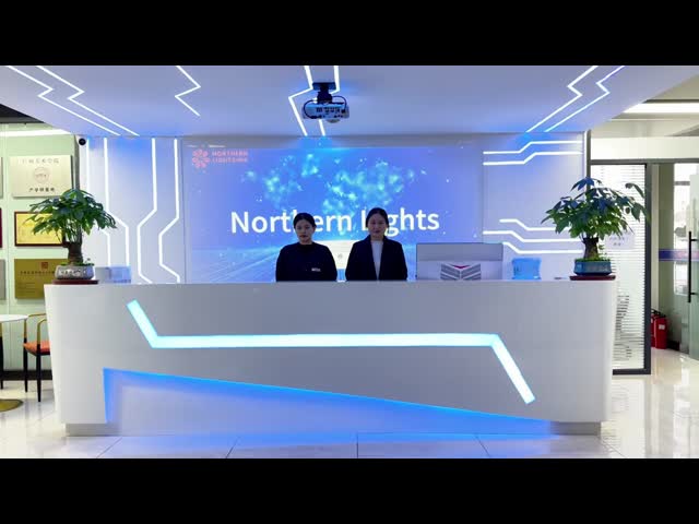 China Northern Lights (Guangzhou) Digital Technology Co.,Ltd Perfil da empresa