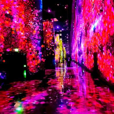 Bom preço Moderno Luxo Imersivo Interativo Projeção Laser de Parede / Pavimento para Exposição on-line