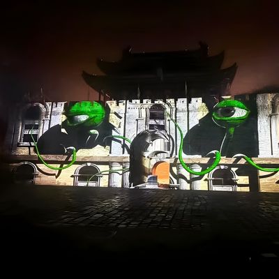 Bom preço Projeto de iluminação da empresa combinado com luz exterior de projeção on-line