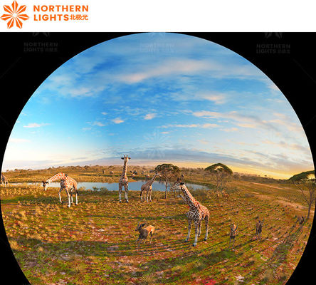 Bom preço Parque do Museu de Ciências Teatro Personalizado Olho Nu 360 Graus Experiência Imersiva on-line