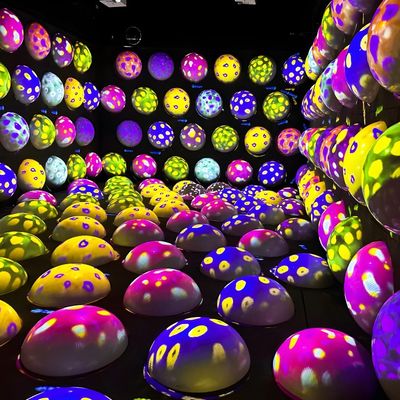 Bom preço Parque de diversões Indoor Colorido Bouncy Ball Game Interativo Jumping Ball Projeção on-line