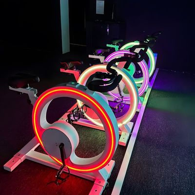 Bom preço Northern Lights Racing Bike Simulator Game Machine Racing Projeção on-line