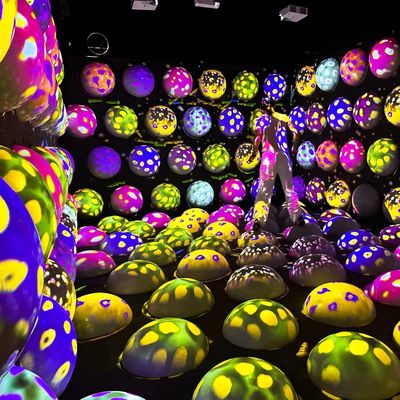 Bom preço Indoor Interactive Jumping Sphere Floor Interactive Projection Game Espaço Cool Jump on-line