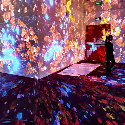 Bom preço Sistema de tela de projeção Holográfico Imersivo Dinâmico Arte Digital on-line