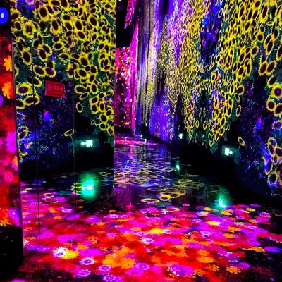 Bom preço Experiência Interativa A Olho Nu Exposição Imersiva Virtual 3D Indoor on-line