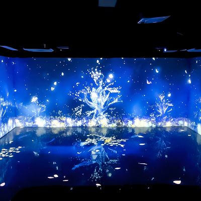 Bom preço Decorações de salas Exposição do Museu de Arte Digital Projector de Mapeamento Imersivo 3d on-line