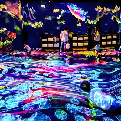 Bom preço Sistema de Projeção Imersiva de Experiência Holográfica 3D para Entretenimento on-line