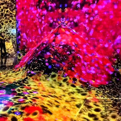 Bom preço Projeção imersiva 3D para ambientes internos on-line
