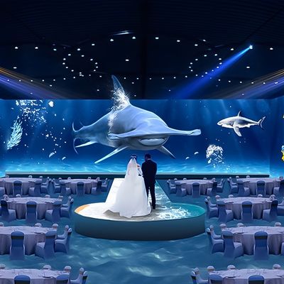 Bom preço Experiência gastronômica Restaurante Prazer Imersivo Projeção Mapeamento 3D on-line