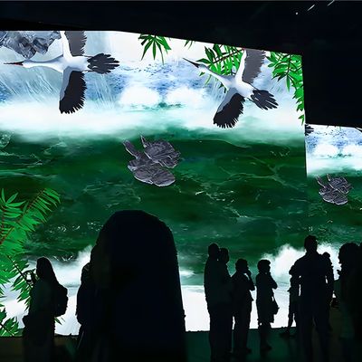 Bom preço Northern Lights Interactive Wall Kids Exploração Espacial Projeção Interativa on-line