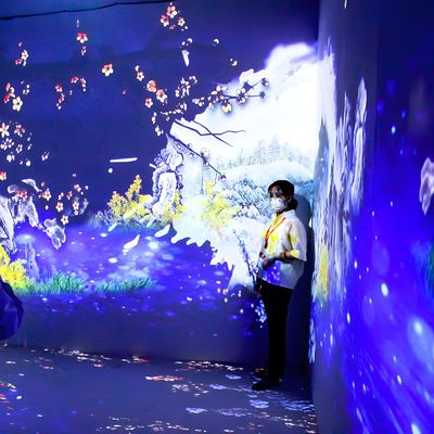 Bom preço Holograma 3D Imersivo Multicanal Projeção de Piso para Hotel on-line
