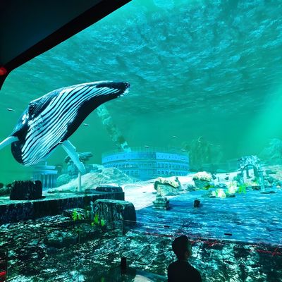 Bom preço 3d HD Imersivo Visualização LED Display Screen Hanging Glass Hologram Cinema on-line