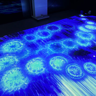 Bom preço Portable Mobile Interactive Floor Projection System with 1280*800 Resolution and 110V-250V Voltage on-line